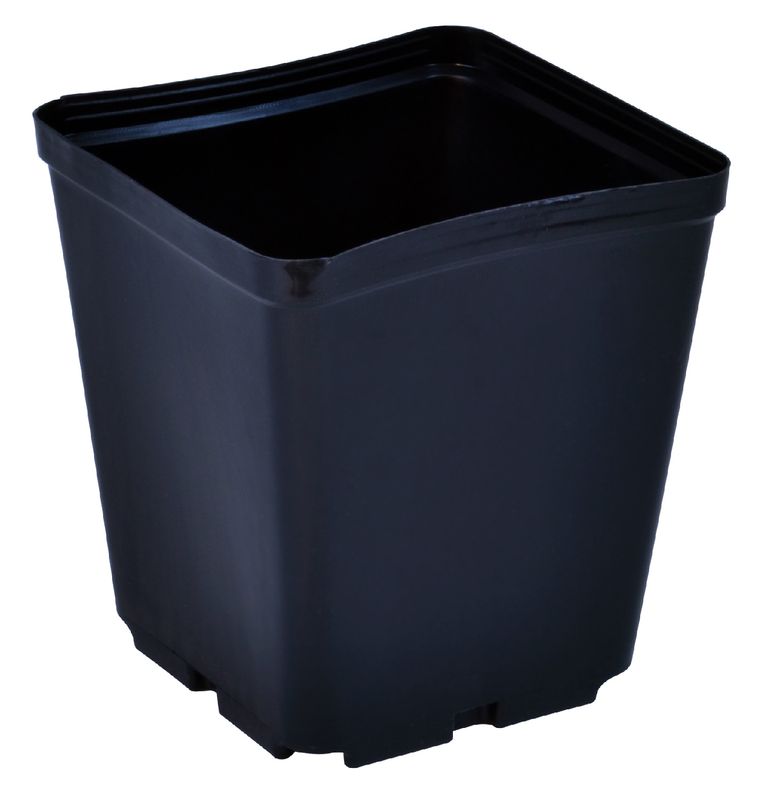5.5x5.5x6" BLOW MOLDED SQUARE POT