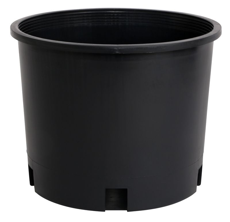 3 GAL PREMIUM NURSERY POT