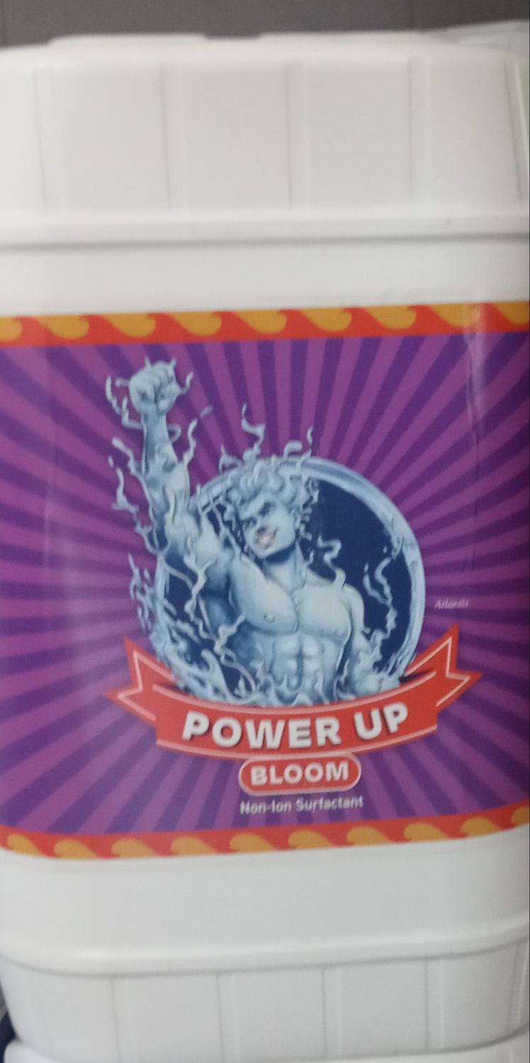 POWER UP BLOOM 23L