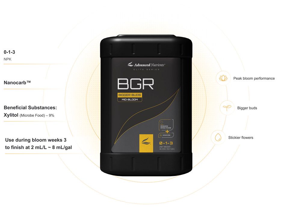 ADVANCED NUTRIENTS  8TH GENERATION BIG BUD (BGR) 1 GAL