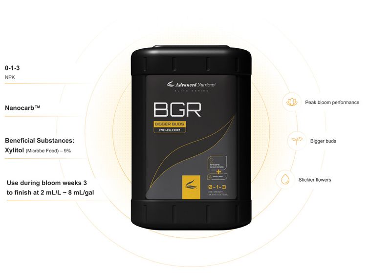 ADVANCED NUTRIENTS  8TH GENERATION BIG BUD (BGR) 1 GAL