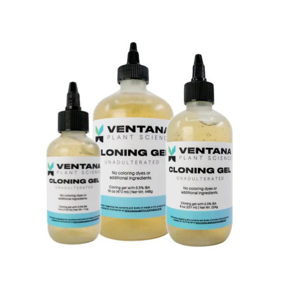 VENTANA CLONING GEL 8OZ