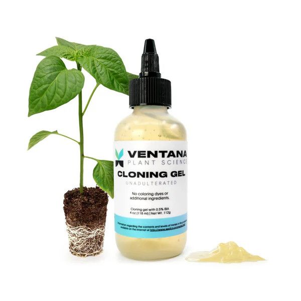 VENTANA CLONING GEL 4OZ