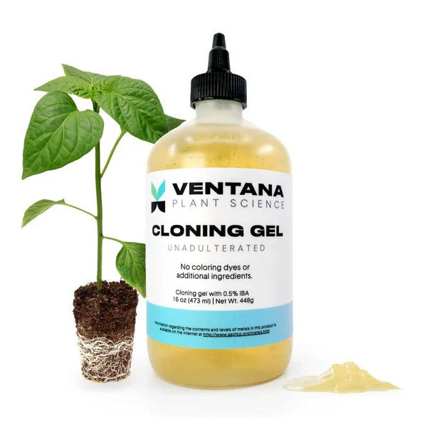 VENTANA CLONING GEL 16OZ