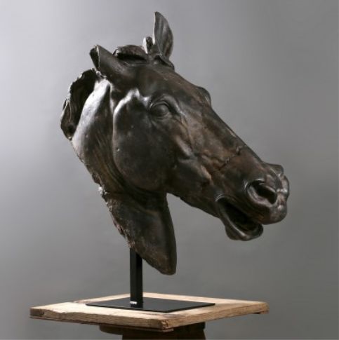 BIG HORSE HEAD