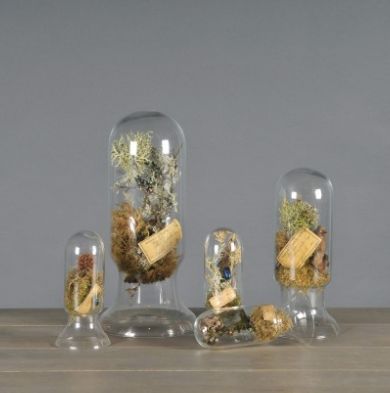 LABORATORY DOMES (SET OF 5)