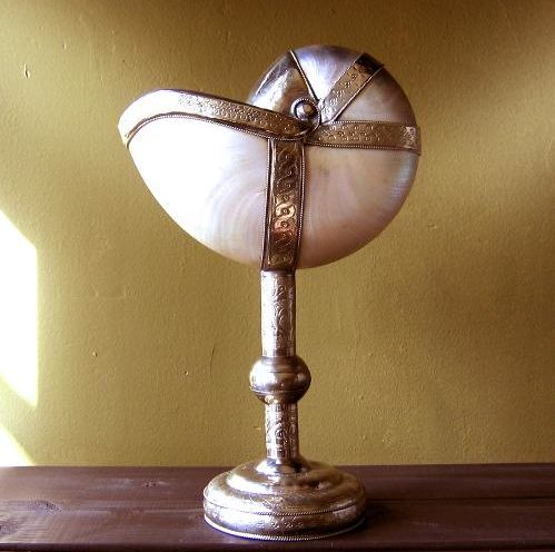 PEARLY NAUTILUS ON SILVER STAND