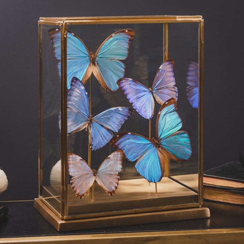 5 BLUE BUTTERFLIES UNDER GLASS-BRASS BASE