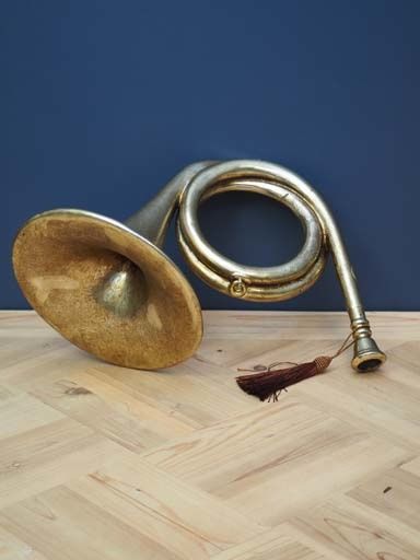 GOLD RESIN HORN