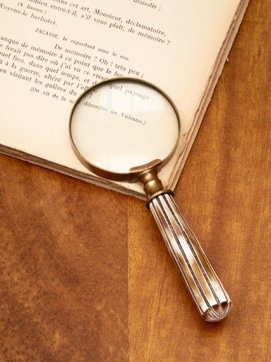 SMALL MAGNIFIER WITH HORN HANDLE