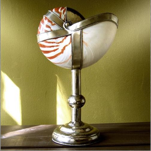 NAUTILUS SHELL DRESSED UP WITH SILVER MET