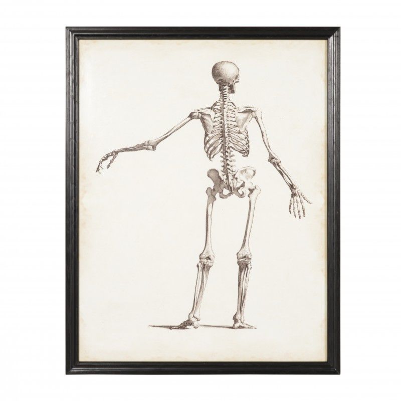 V.M SKELETON PAIR2 ART