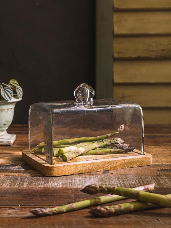 SQUARE PLATE WITH GLASS COVER