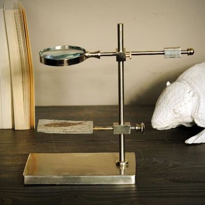 FOSILIZED FISH UNDER MAGNIFIER GLASS