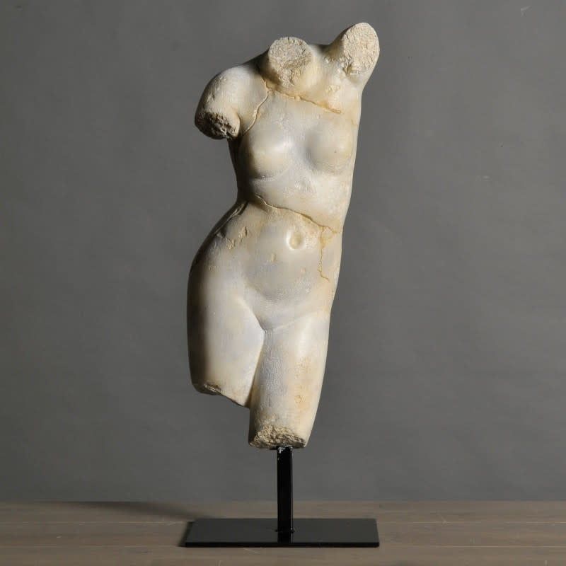 VENUS XL