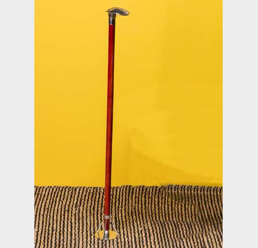 WALKING STICK WITH SHELL HANDLE