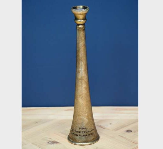 HUNT IRON IN GOLDEN RESIN