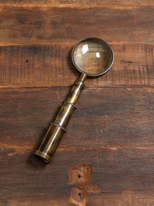 MAGNIFIER WITH TELESCOPE HANDLE