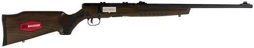 Savage 70810 B17G 17HMR