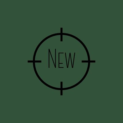 NEW GUNS