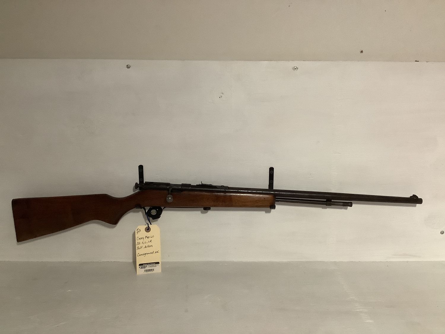 Cooey Model 60 22 S, L, LR Bolt Action