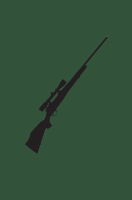 FIREARMS