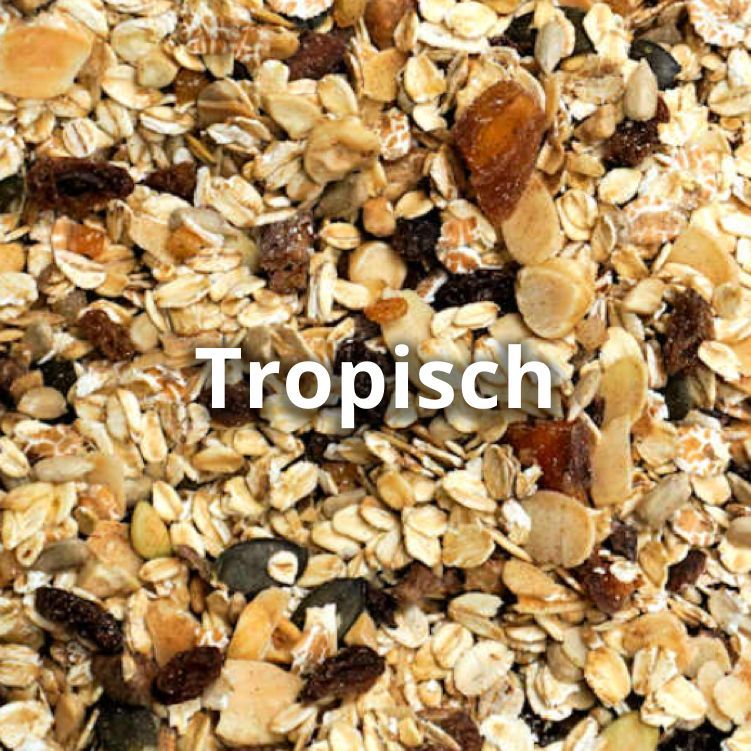 Muesli tropisch 600 gram