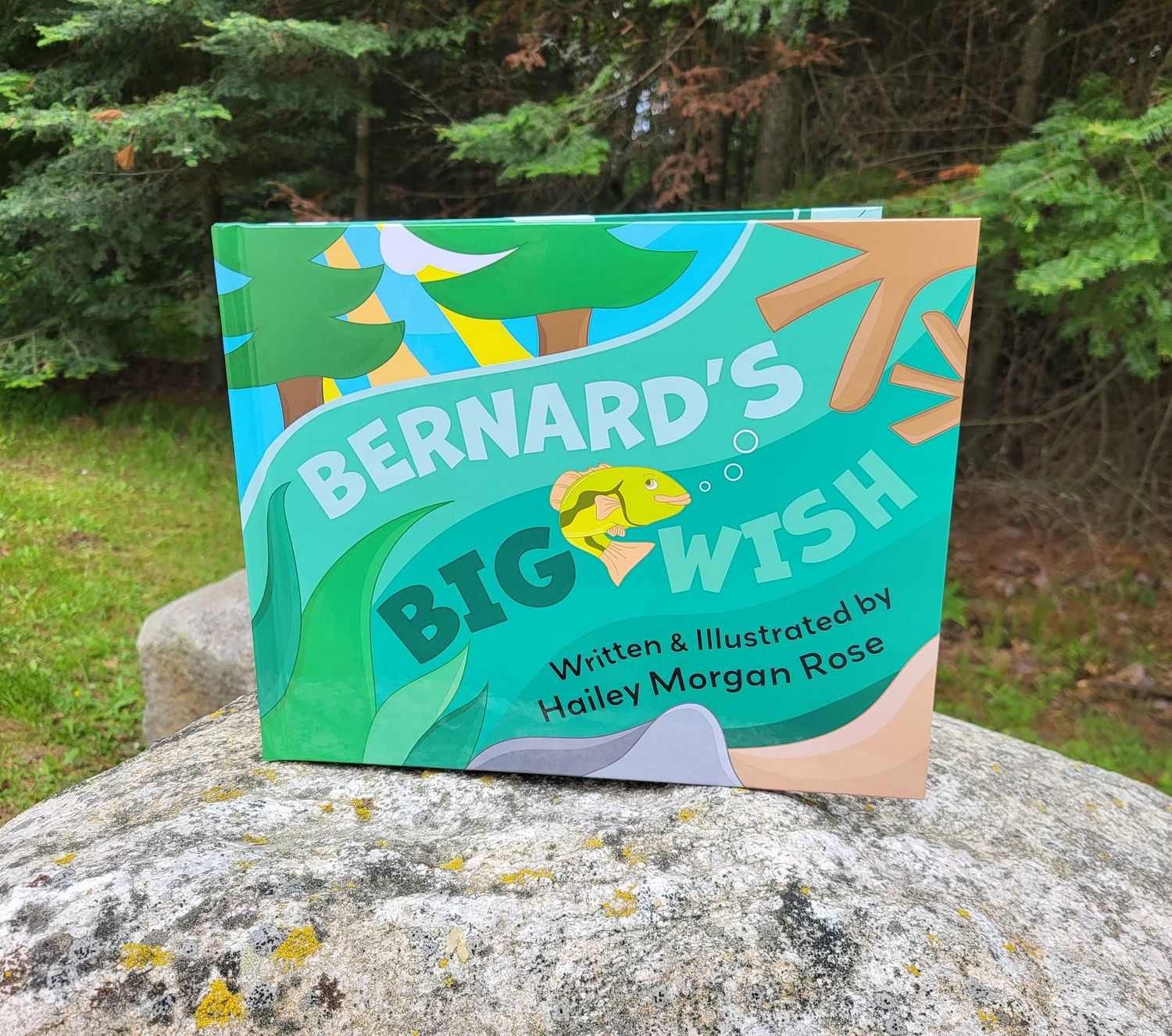 Bernard&#39;s Big Wish