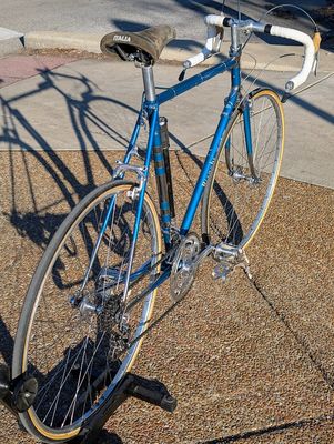 Bianchi Specialissima 1964 - Blue - 57cm