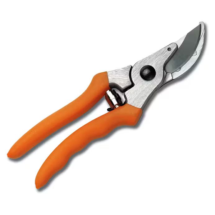 Pruner PP 10