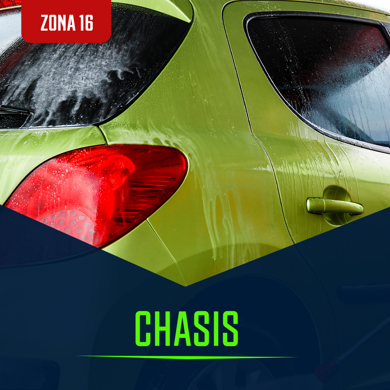Lavado de Chasis Z16 Extra Grande