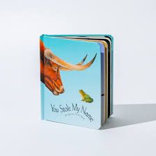 You Stole My Name Board Book (Gift for Kids)
