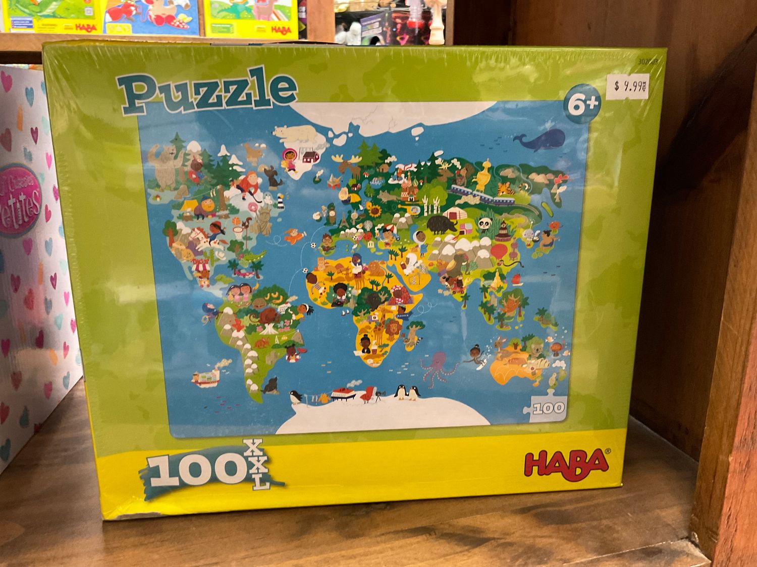 World Map Puzzle