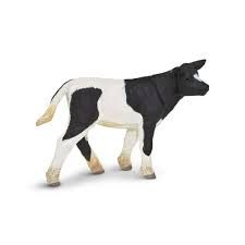 Safari Holstein Calf