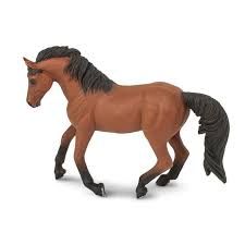 Safari Morgan Mare