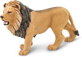 Safari Lion