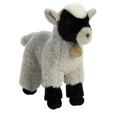11&quot; GOAT KID MIYONI TOT