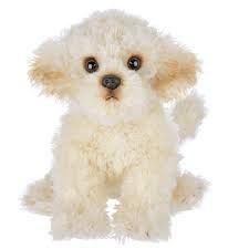 Lil&#39; Bisquit the Labradoodle
