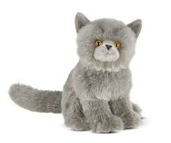 Gordie the grey plush Persian cat