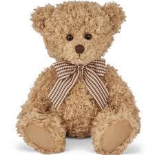 Theodore the Teddy Bear