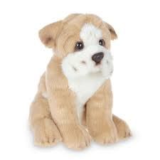 Tug the Bulldog