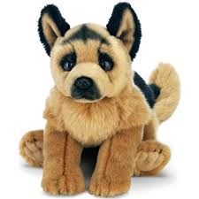 Chief the German Shepherd