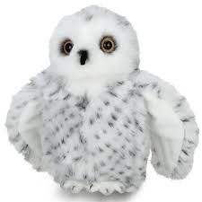 Drift the Snow Owl