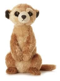 MEERKAT II MEERKAT NI FLOPSIE