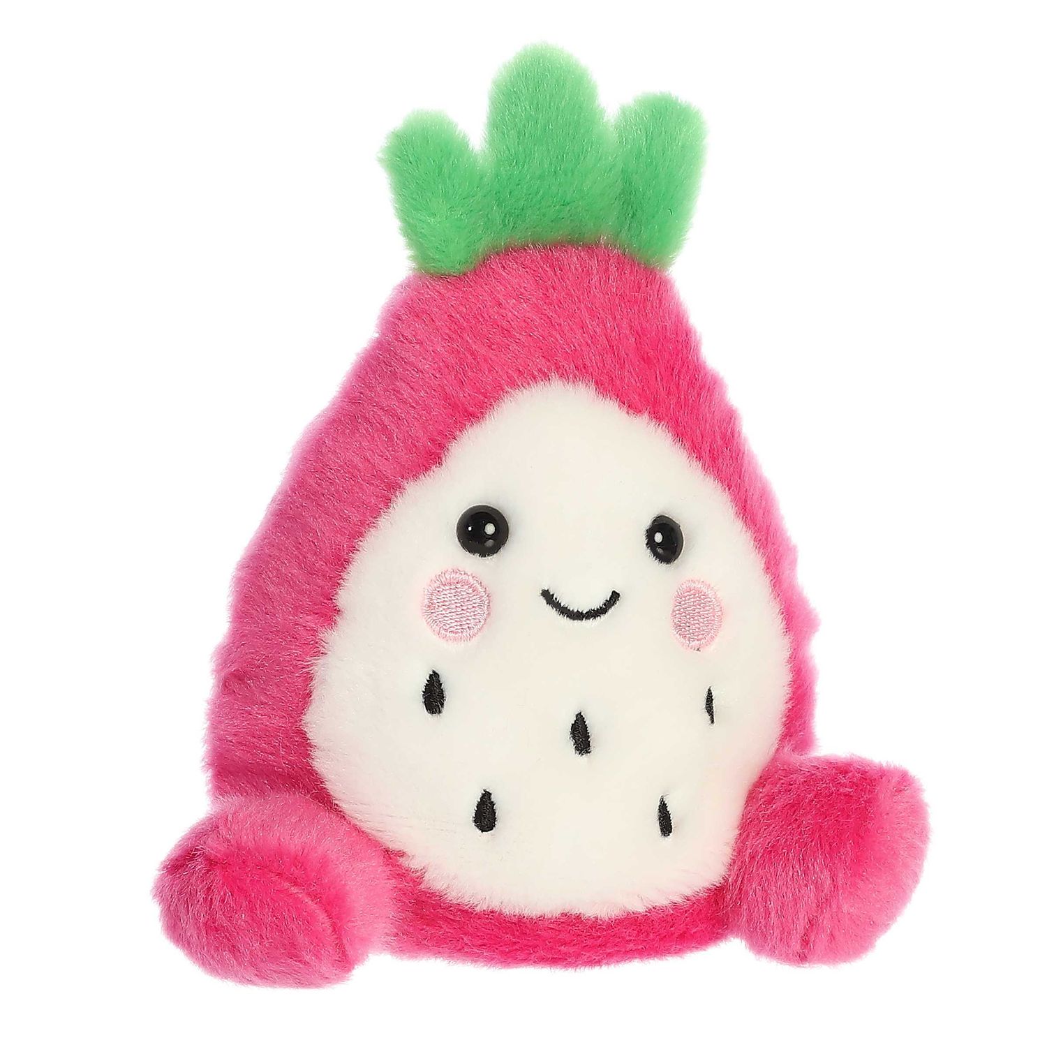 5&quot; RHYS DRAGON FRUIT PALM PALS