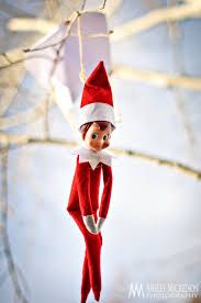 Elfie the Elf