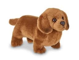 Frankie the Daschund