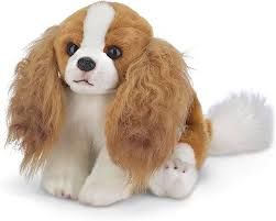 Sadie the King Charles