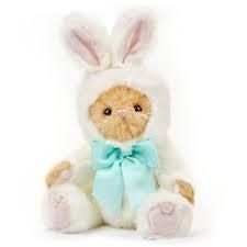 Beary Harey