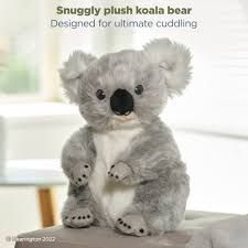 Joey the Koala
